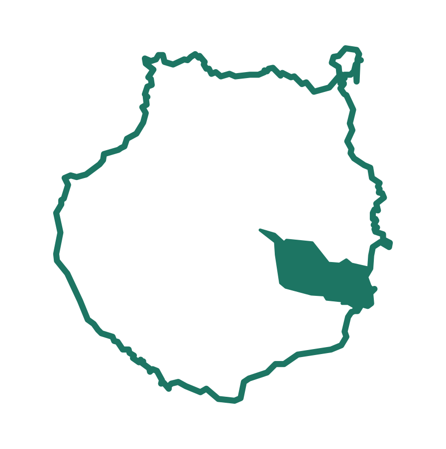 agüimes