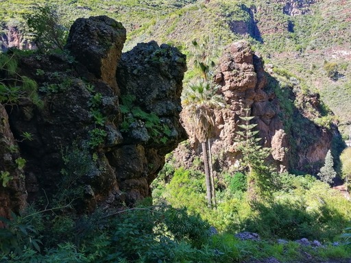 Barranco de Azuaje - Barranco de la Virgen