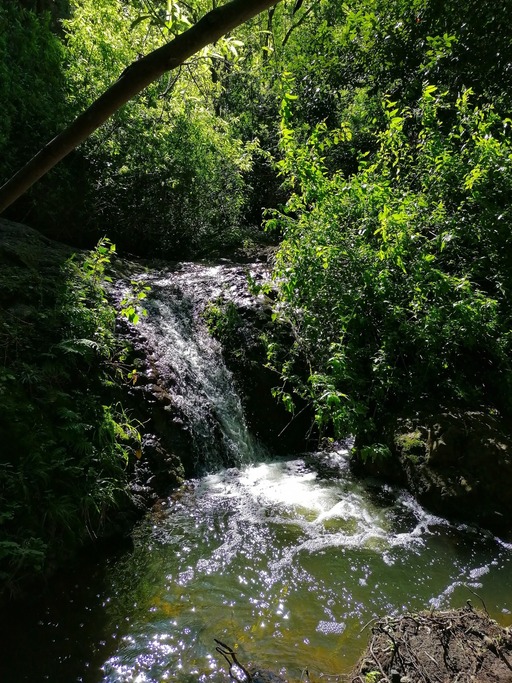 Barranco de Azuaje - Barranco de la Virgen