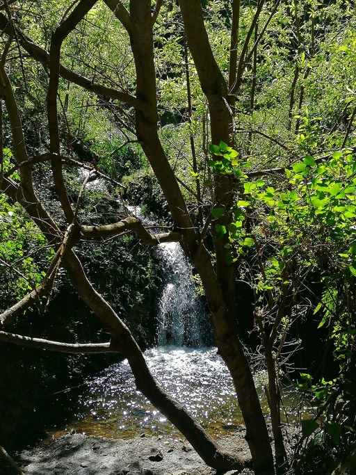 Barranco de Azuaje - Barranco de la Virgen
