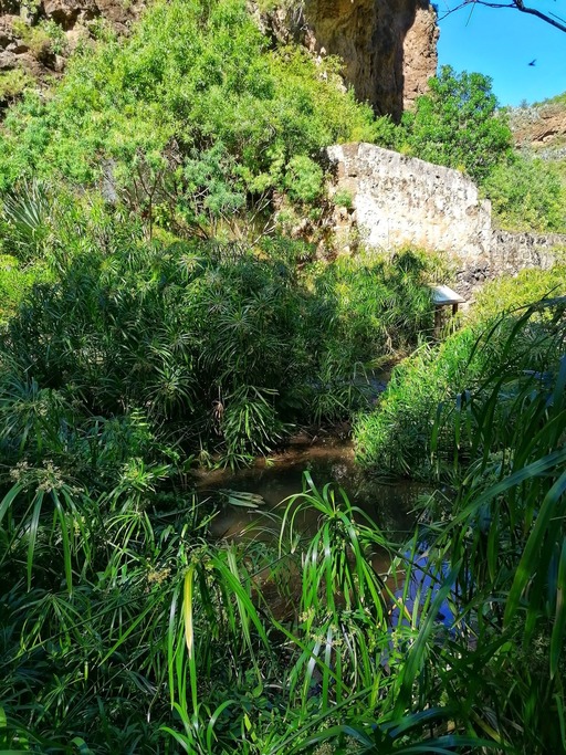 Barranco de Azuaje - Barranco de la Virgen
