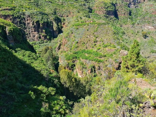 Barranco de Azuaje - Barranco de la Virgen