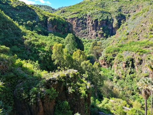 Barranco de Azuaje - Barranco de la Virgen