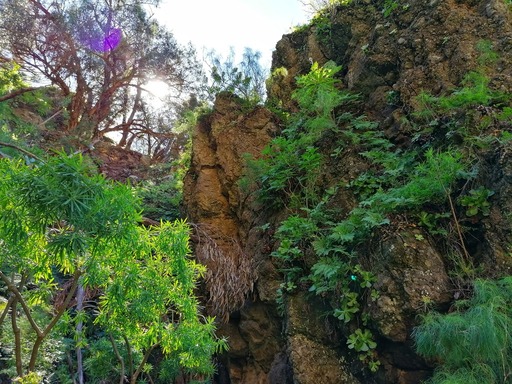 Barranco de Azuaje - Barranco de la Virgen