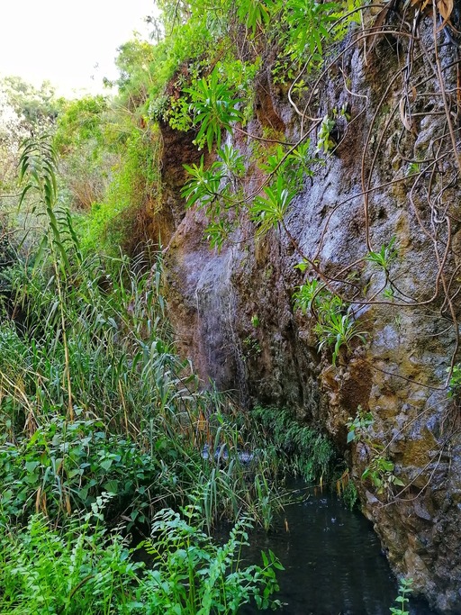 Barranco de Azuaje - Barranco de la Virgen