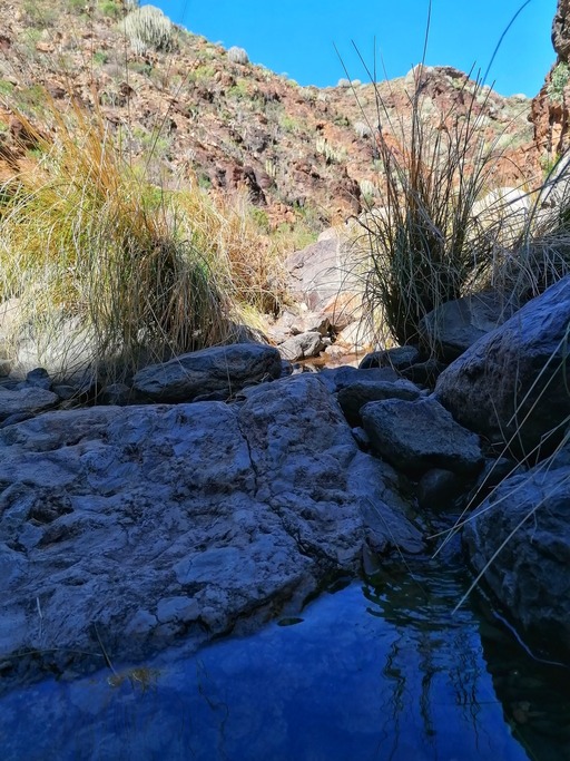 Barranco del Toro
