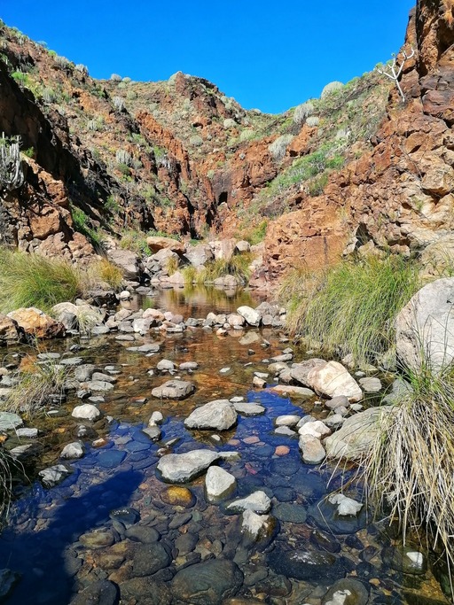 Barranco del Toro