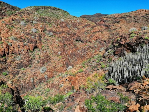 Barranco del Toro