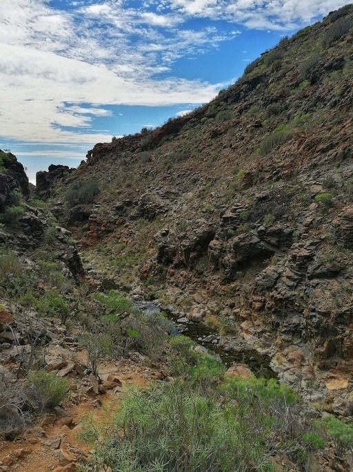 Barranco del Toro