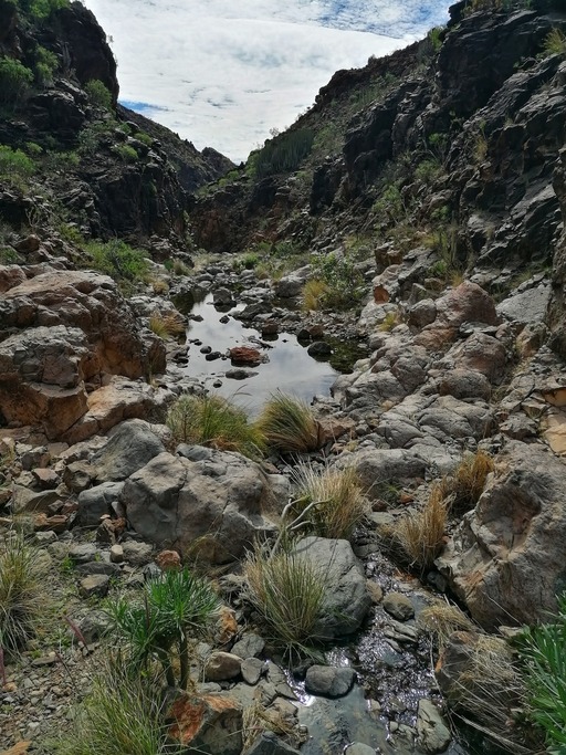 Barranco del Toro
