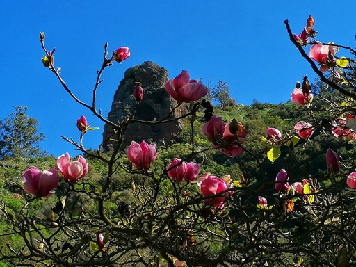 Barranco Oscuro