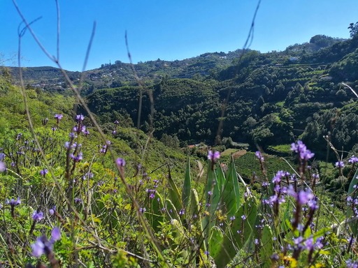 Barranco Oscuro