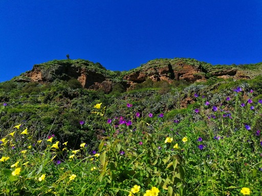Barranco Oscuro
