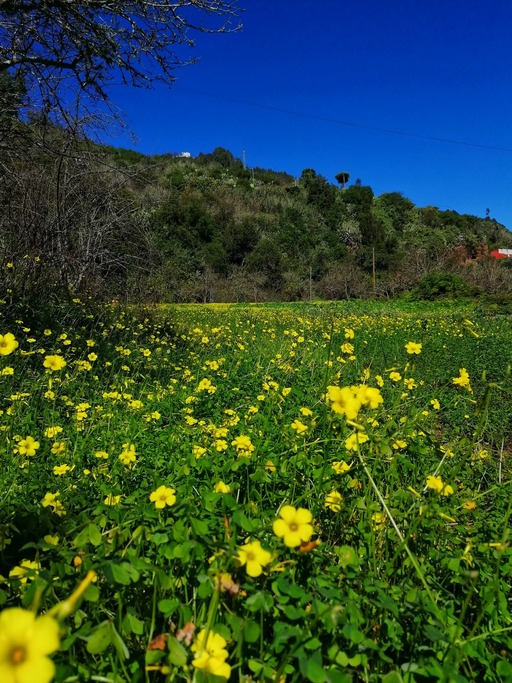 Barranco Oscuro