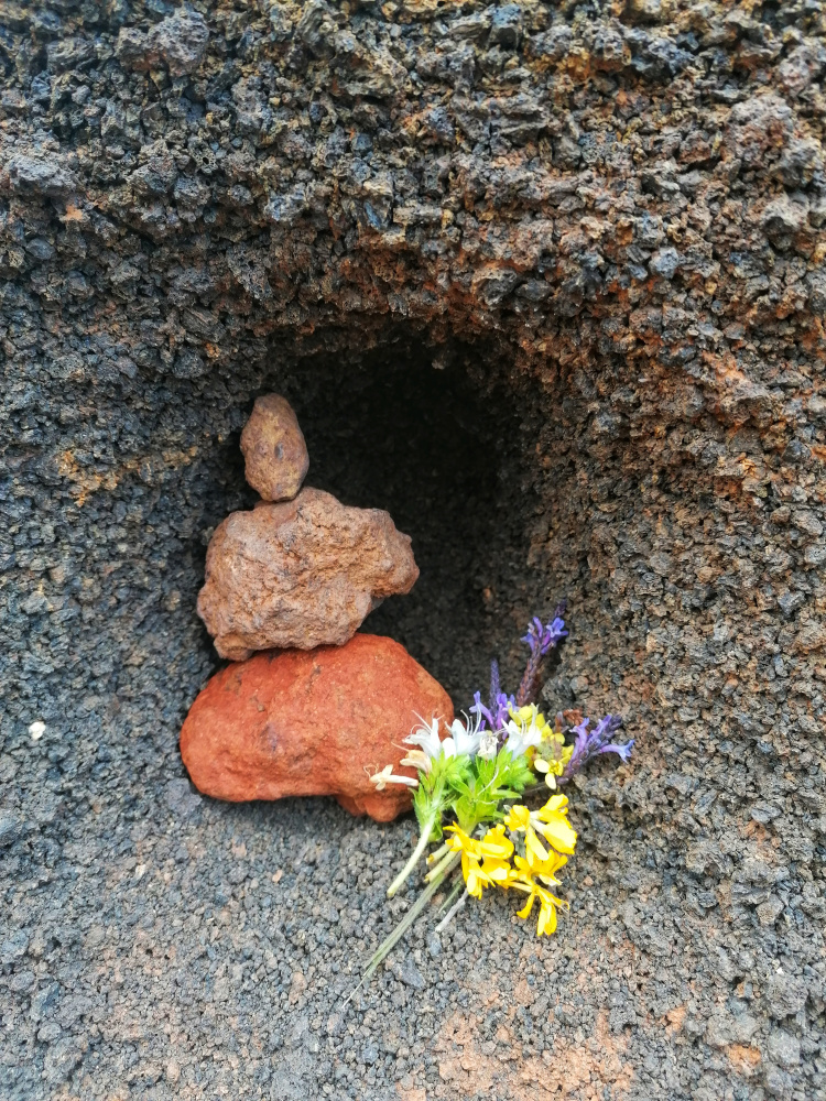 Guayadeque – Cueva Bermeja – Santa Lucia