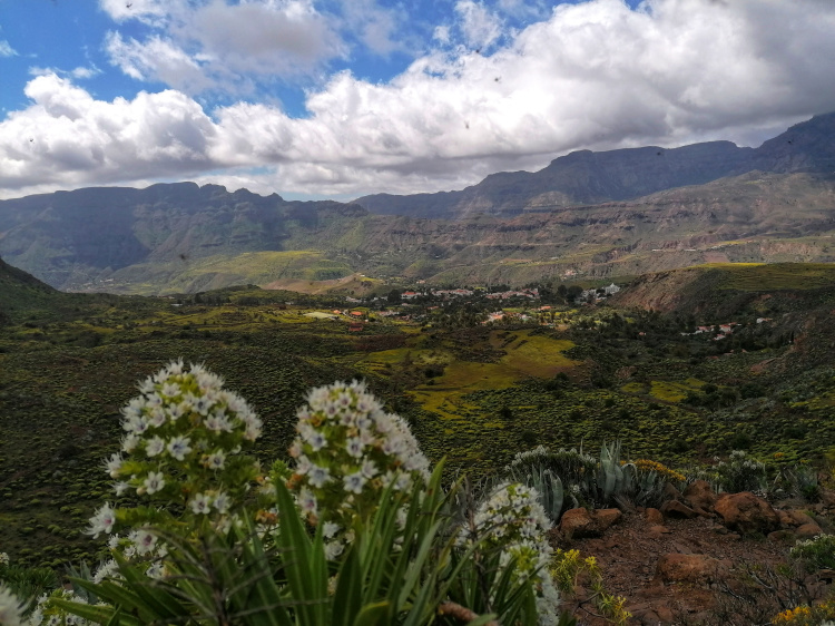 Guayadeque – Cueva Bermeja – Santa Lucia