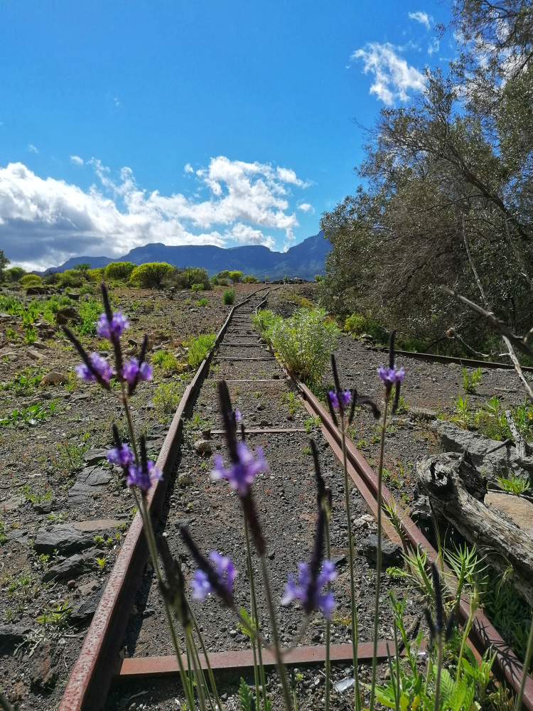 Guayadeque – Cueva Bermeja – Santa Lucia