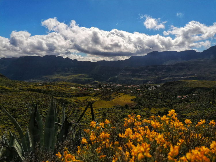 Guayadeque – Cueva Bermeja – Santa Lucia