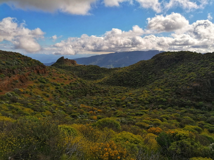 Guayadeque – Cueva Bermeja – Santa Lucia
