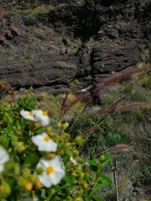 Charco Azul