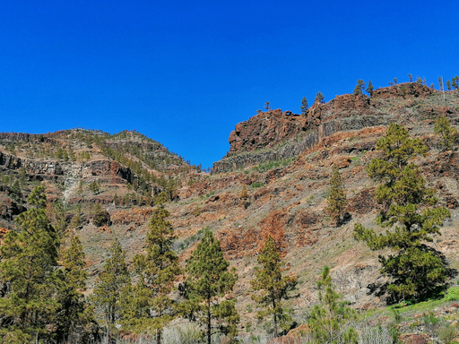 Presa de la Gambuesa - Barranco de la Data