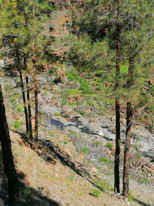 Presa de la Gambuesa - Barranco de la Data