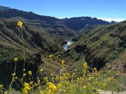 Presa de la Gambuesa - Barranco de la Data
