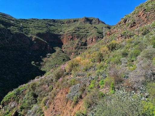 Barranco de Guayadeque