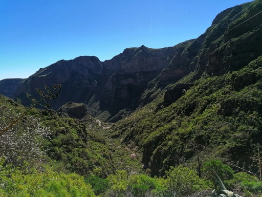 Barranco de Guayadeque
