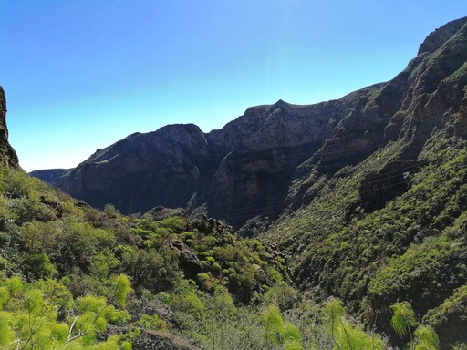 Barranco de Guayadeque