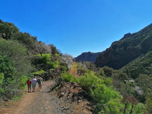 Barranco de Guayadeque