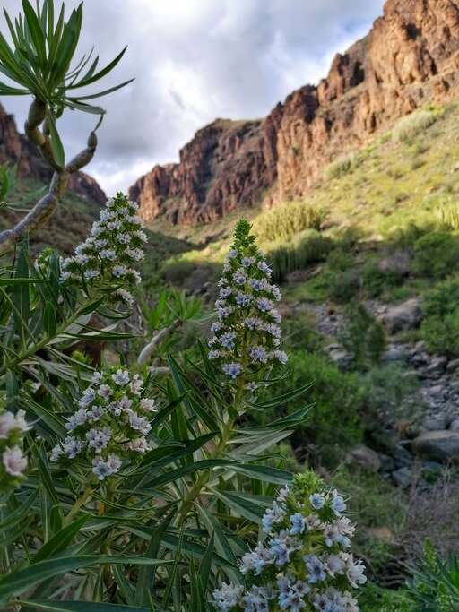 Barranco del Hondo