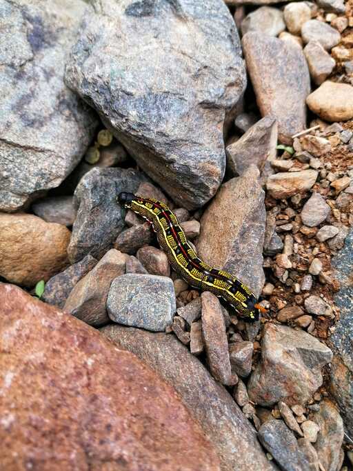 Barranco del Hondo