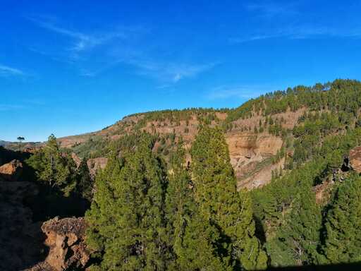 Presa de Los Hornos – Llanos de la Pez