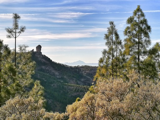 Presa de Los Hornos – Llanos de la Pez