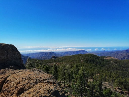Llanos de la Pez (circular route)