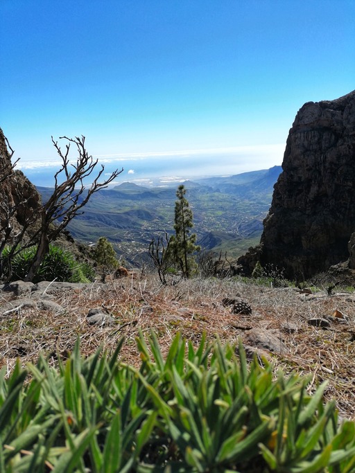 Llanos de la Pez (circular route)