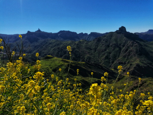 Presa de Los Perez - Tamadaba - Mirador Llanos de la Mimbre