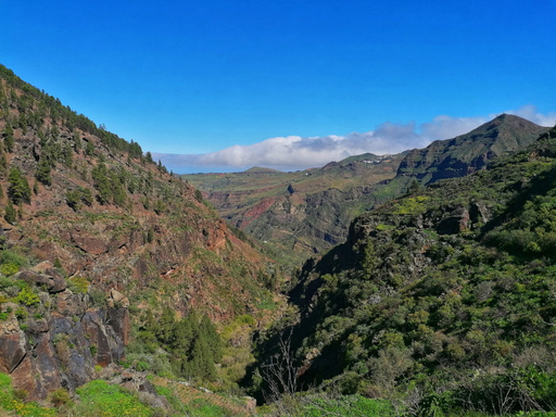 Presa de Los Perez - Tamadaba - Mirador Llanos de la Mimbre