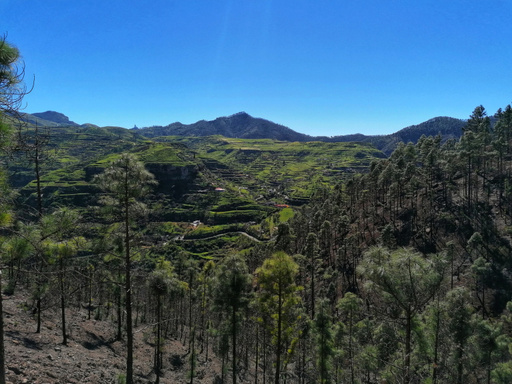 Presa de Los Perez - Tamadaba - Mirador Llanos de la Mimbre