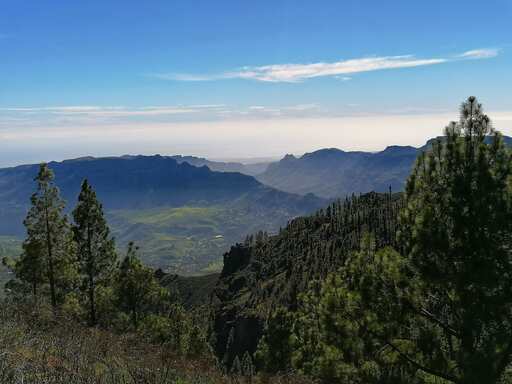 Barranco de Guayadeque - Pico de las Nieves