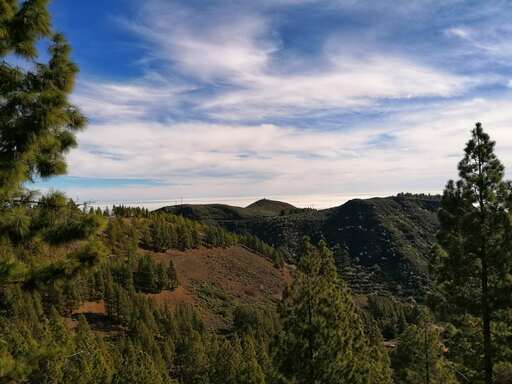 Barranco de Guayadeque - Pico de las Nieves