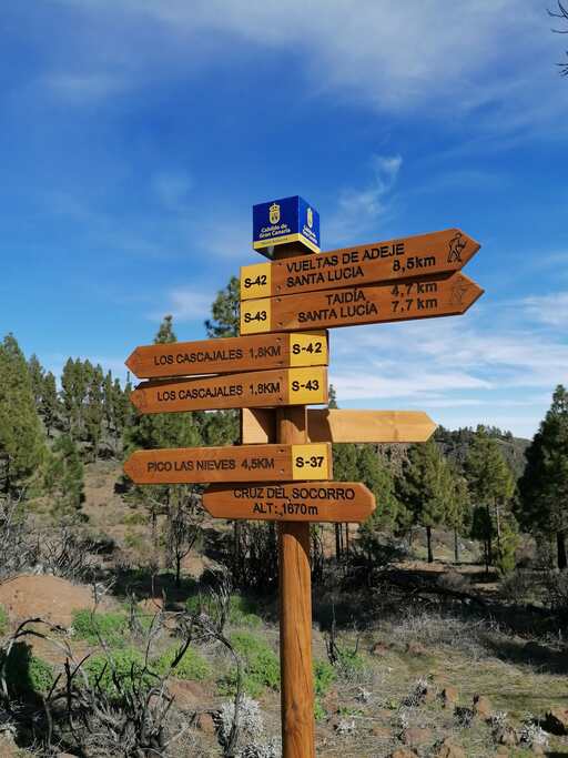 Barranco de Guayadeque - Pico de las Nieves