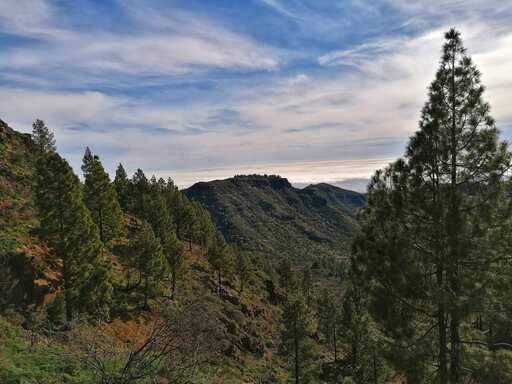 Barranco de Guayadeque - Pico de las Nieves