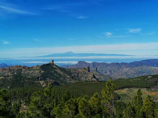 Barranco de Guayadeque - Pico de las Nieves
