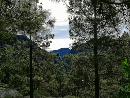 Barranco de Guayadeque - Pico de las Nieves
