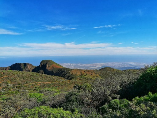 Barranco de Guayadeque - Pico de las Nieves