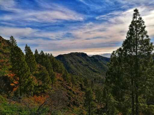 Barranco de Guayadeque - Pico de las Nieves