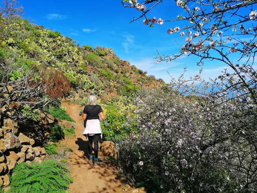 Barranco de Guayadeque - Pico de las Nieves