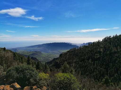 Barranco de Guayadeque - Pico de las Nieves